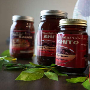 Authentic Shito